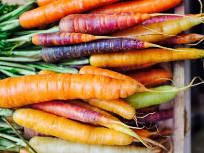 Plant based vegan experiences